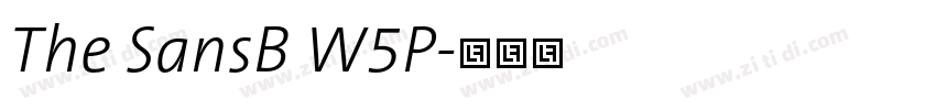 The SansB W5P字体转换
